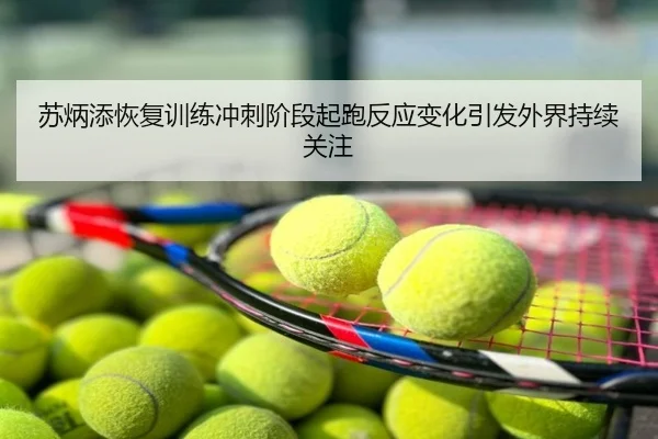 苏炳添恢复训练冲刺阶段起跑反应变化引发外界持续关注