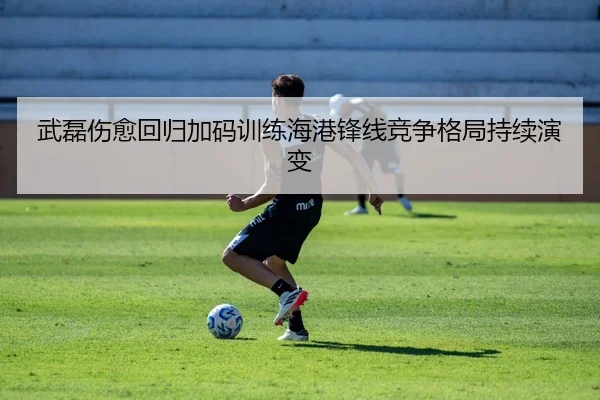 武磊伤愈回归加码训练海港锋线竞争格局持续演变